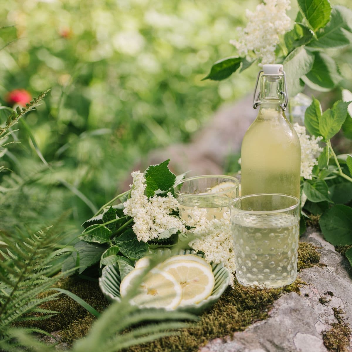 Scotswood Community Garden Elderflower Cordial 500ml